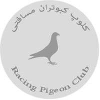 کلوپ کبوتران مسافتی زیباشهر
